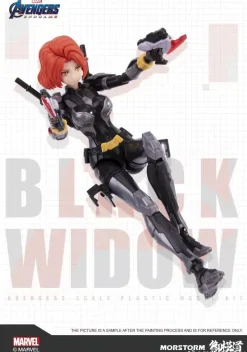 Rise of Gunpla Eastern Models^EASTERN MODEL : 1/12 BLACK WIDOW