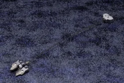 Rise of Gunpla Kotobukiya|Hexa Gear^HEXA GEAR 1/24 : ABYSS CRAWLER NIGHT STALKER