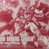 Rise of Gunpla Gundam Build Fighters Try|High Grade (Hg)^HGBF 1/144 KAMIKI BURNING GUNDAM CLEAR