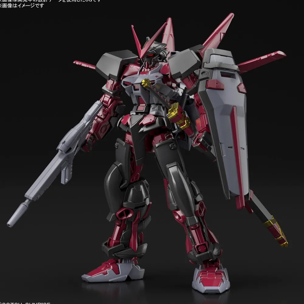 Rise of Gunpla High Grade (Hg)^HGGB 1/144 Gundam Astray Red Frame Inversion