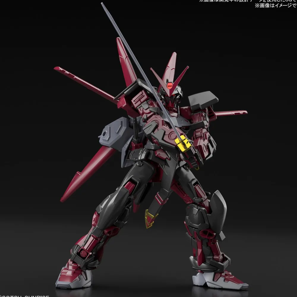 Rise of Gunpla High Grade (Hg)^HGGB 1/144 Gundam Astray Red Frame Inversion