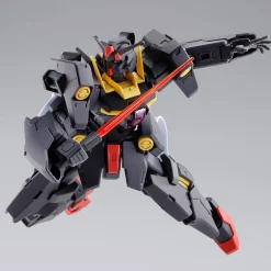 Rise of Gunpla High Grade (Hg)^HGOO 1/144 GUNDAM PLUTONE BLACK