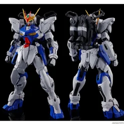 Rise of Gunpla Master Grade (Mg)^MG 1/100 GUNDAM ASTRAY OUT FRAME-D