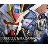 Rise of Gunpla Gundam Seed Destiny|Real Grade (Rg)^RG 1/144 STRIKE FREEDOM GUNDAM